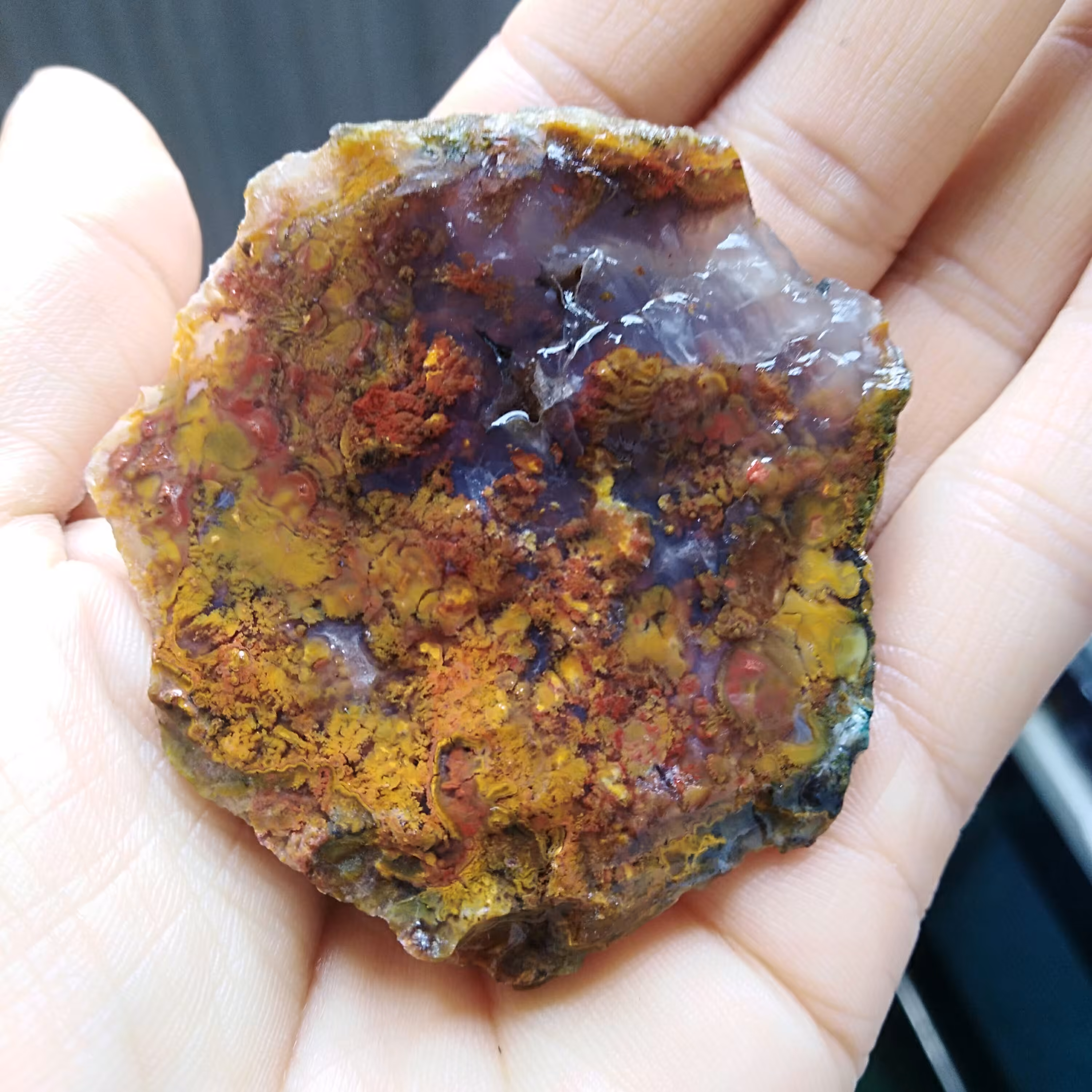 راف پاییزی 7رنگ بسیاااار زیبا کاملا طبیعی