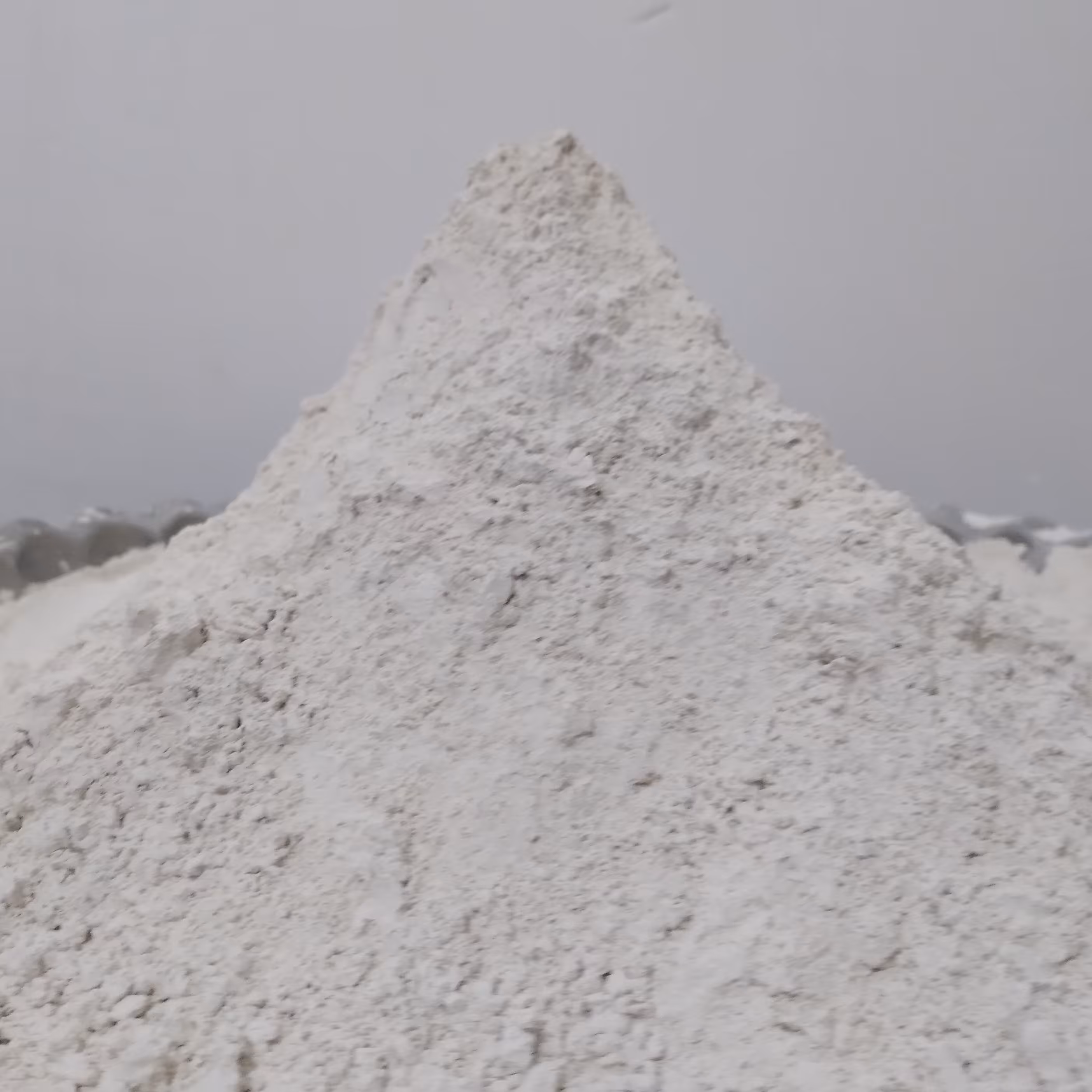 کربنات کلسیم( بسته 15 کیلویی بعلاوه 3 کیلو رایگان) مناسب برای (تهیه خوراک دام وطیور .پرورش قارچ.پرندگان)