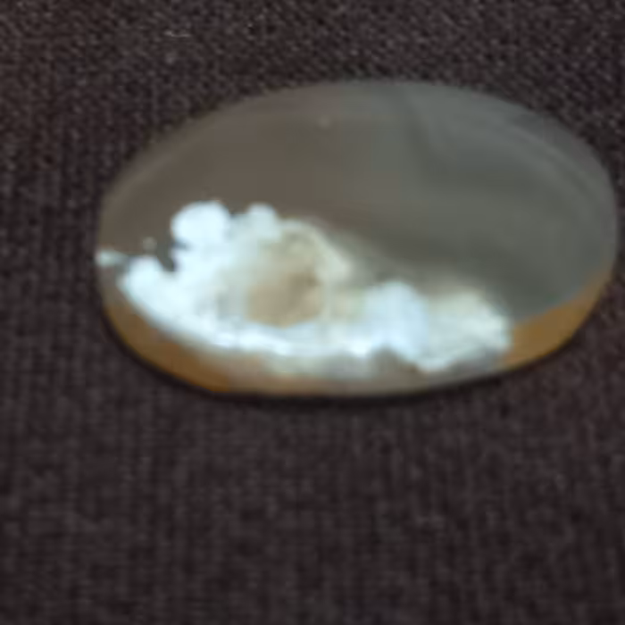 نگین عقیق جزع قهوه ای شجر  کد 20