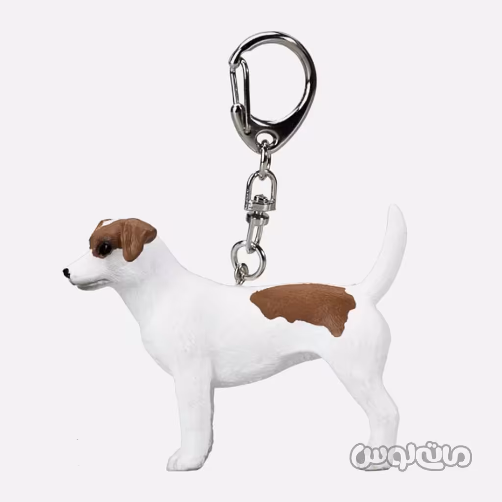 جاکلیدی سگ جک راسل موجو

