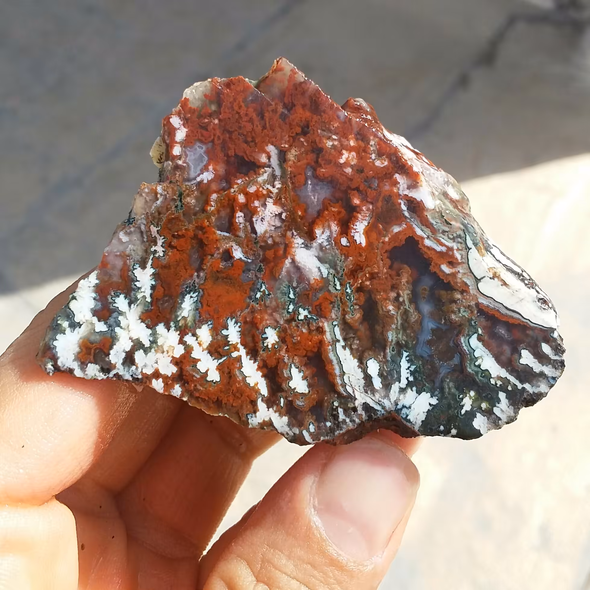 اسلایس سنگ راف جاسپر منظره هفت رنگ بسیار زیبا و خاص 100 در 100 طبیعی  
کد 12041