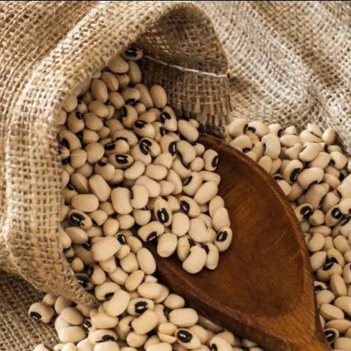 لوبیاچشم بلبلی لوبیا لوبیابلدی لوبا