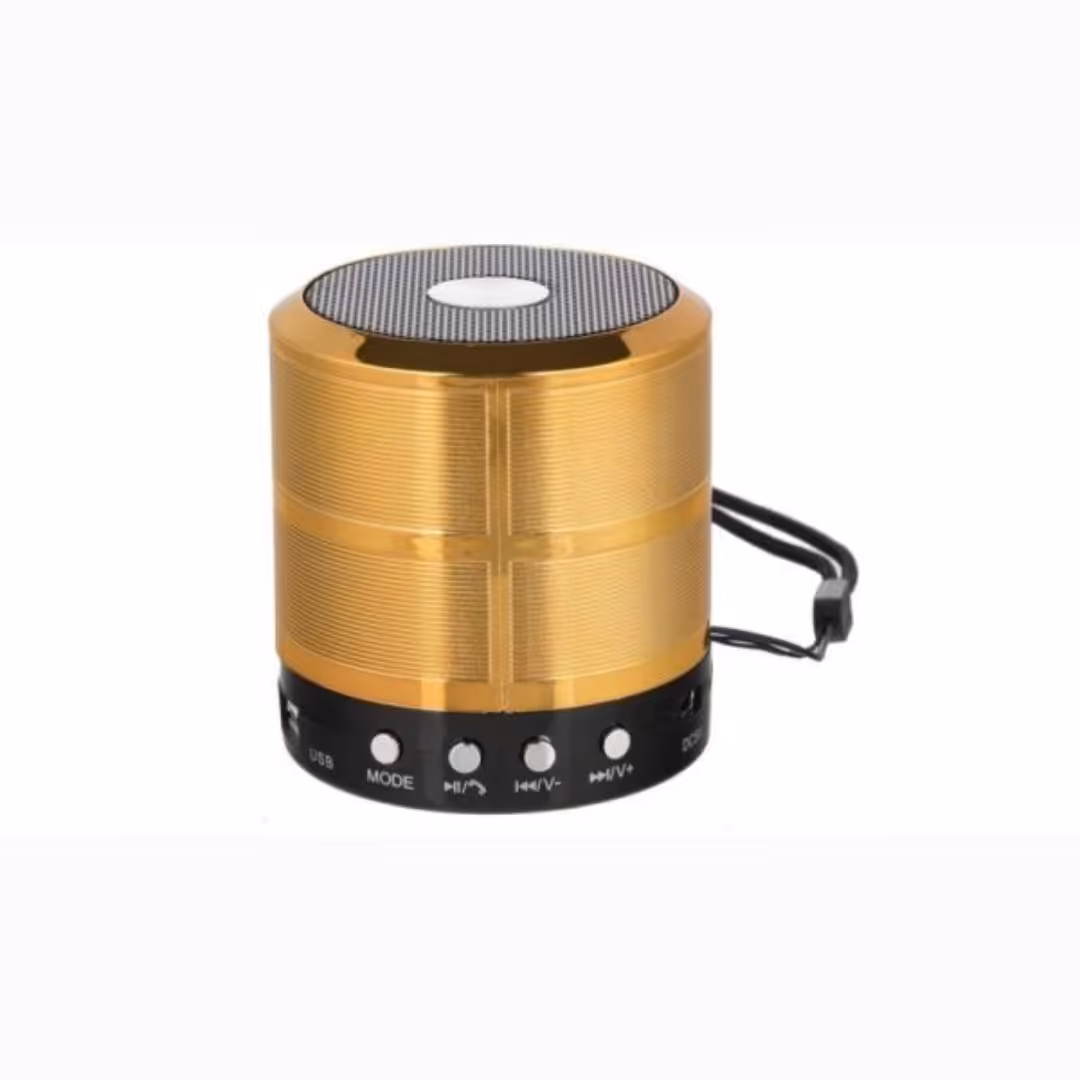مینی اسپیکر بلوتوثی رنگ طلایی WS-887 قابل حمل توی کیف