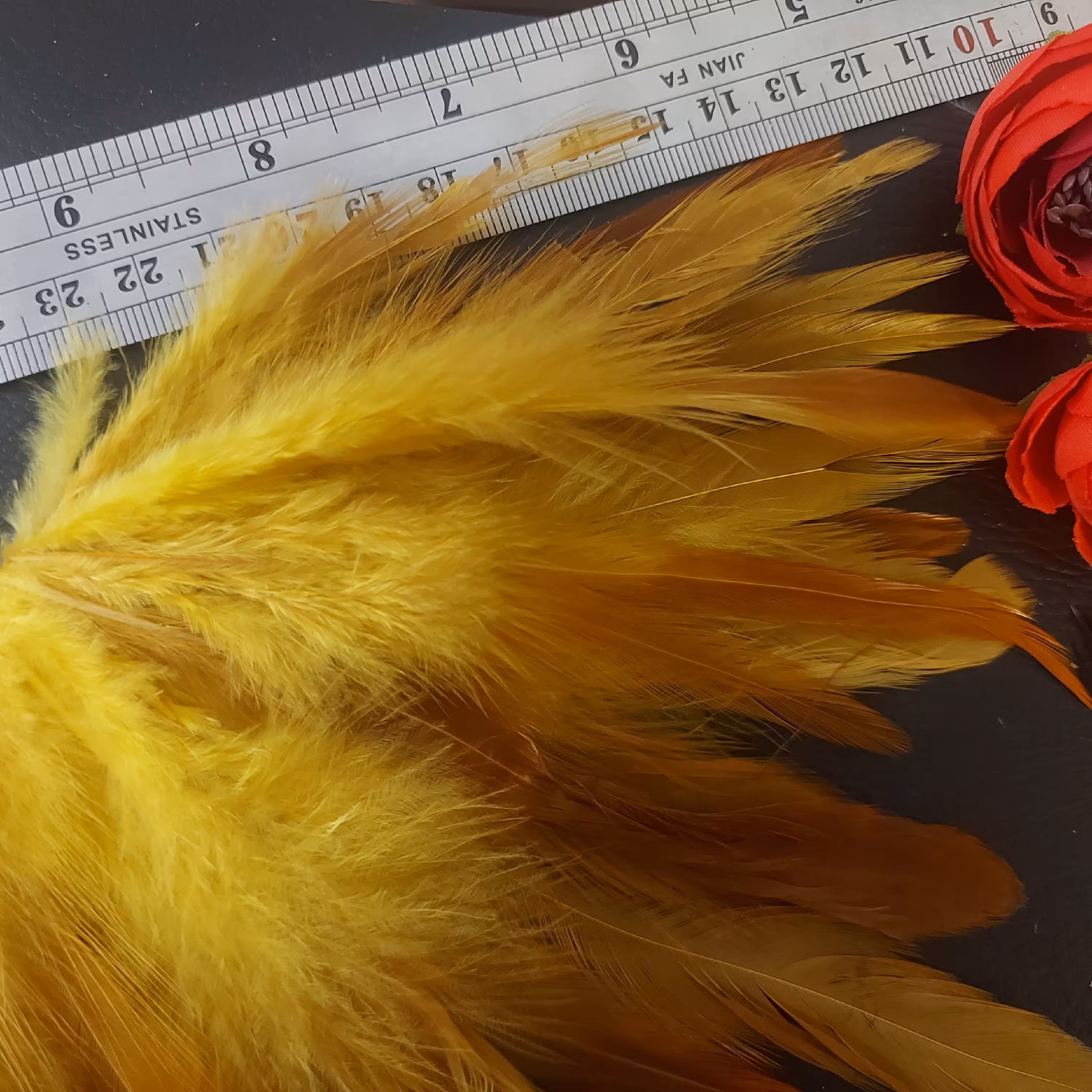 پر طبیعی رنگ شده زرد در بسته های ده عددی 