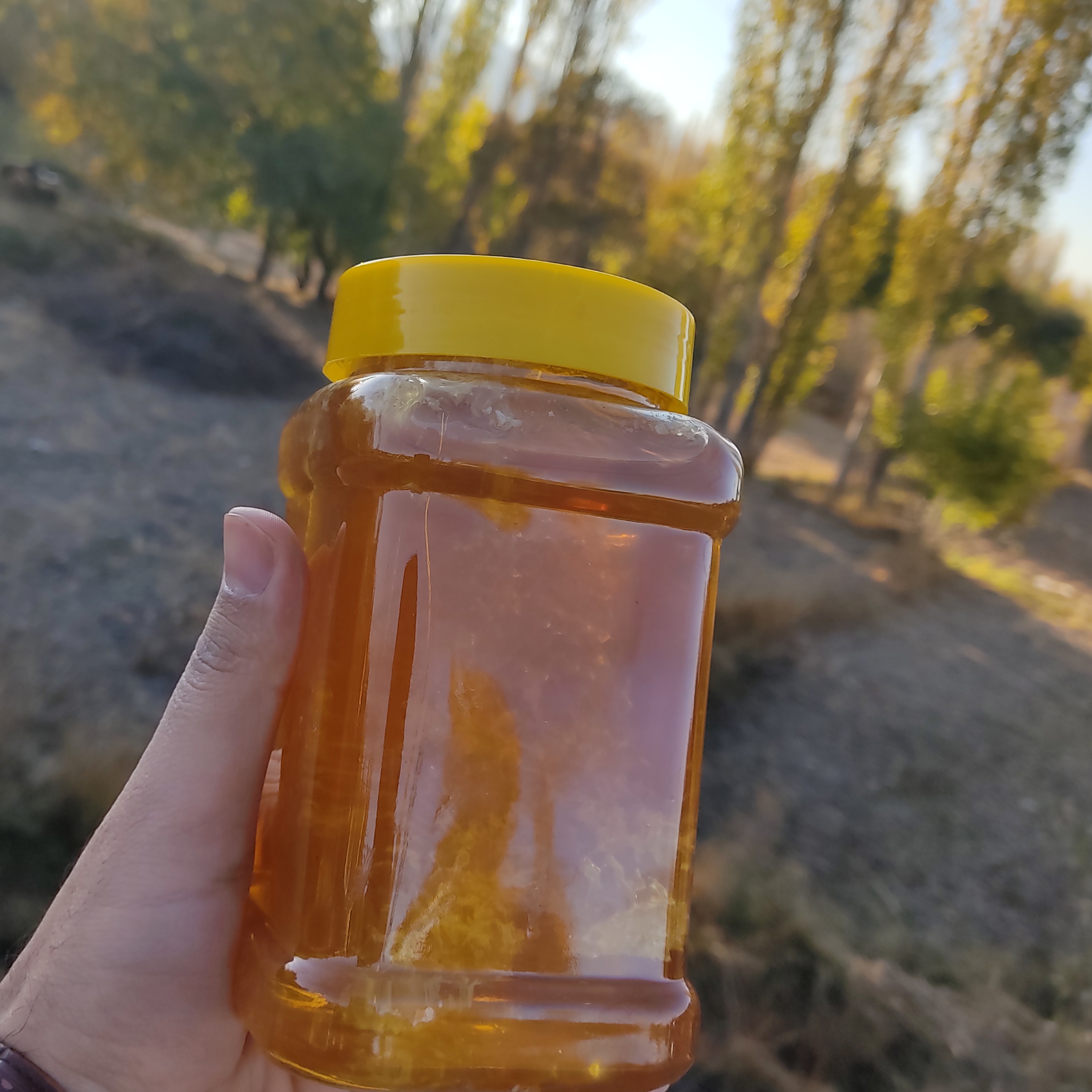 عسل مخصوص خوانسار - 1 کیلویی
