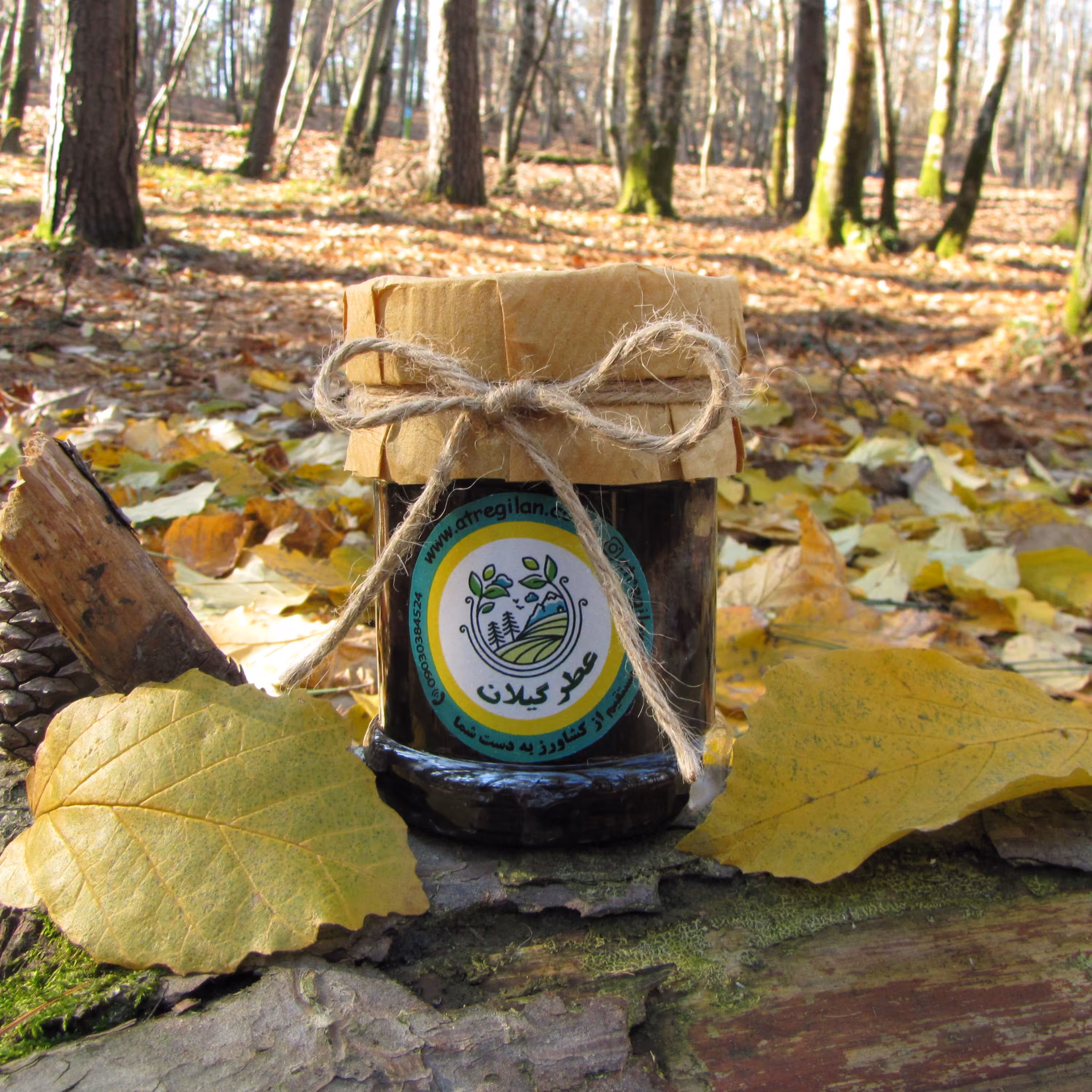 قیمت رب انار ترش خانگی، خرید رب انار خالص و درجه 1 گیلانی