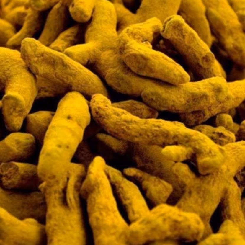 زردچوبه قلم لوکس