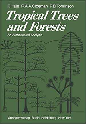 [PDF] دانلود کتاب Tropical Trees And Forests - An Architectural Analysis, 1978