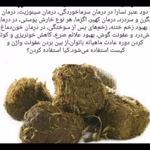 عنبر نساء،میکروب و ویروس کش قوی