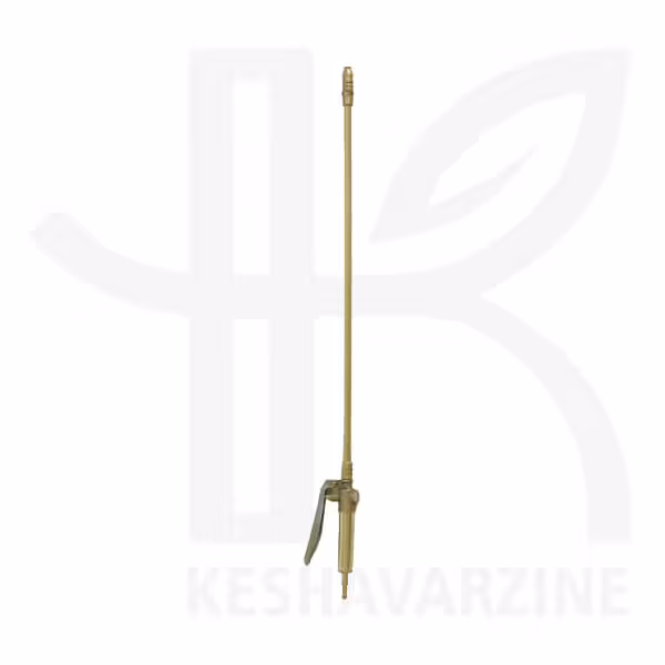 شیر و لانس برنجی ایتالیایی