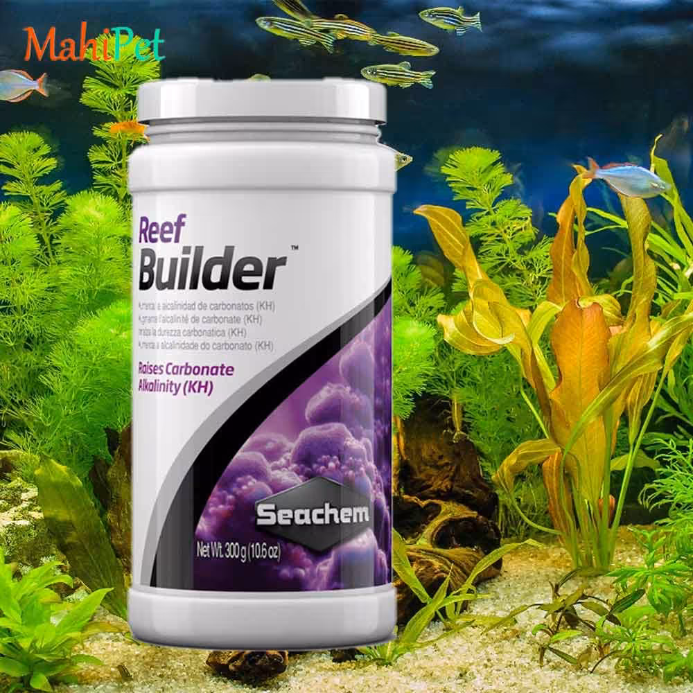 محلول افزایش سختی کربنات آب شور سیچم SEACHEM Reef Builder سایز 300 میلی لیتر