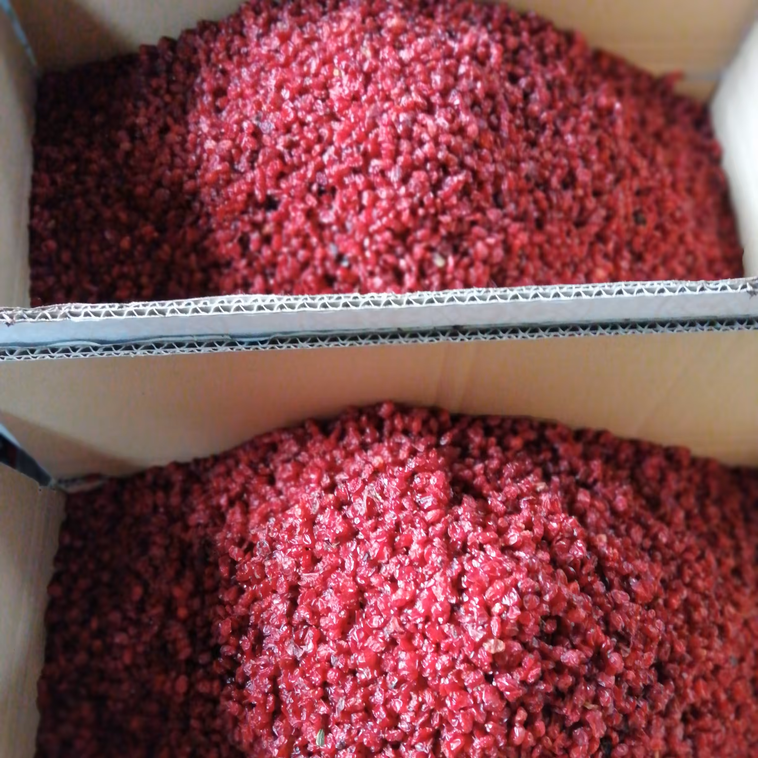 زرشک اناری امسالی فله ای ده کیلویی  برداشت مهر ماه 1403