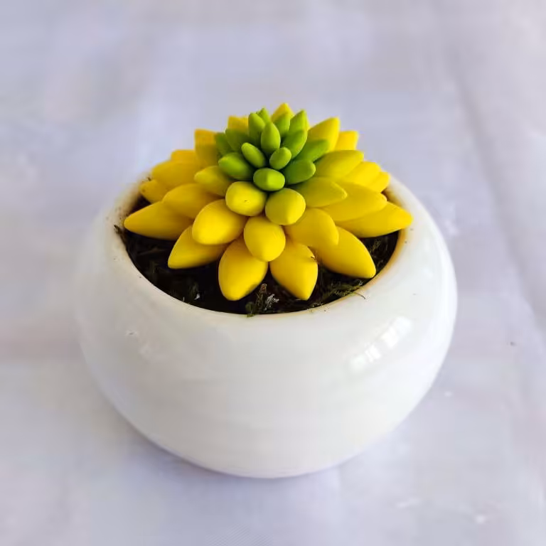 گل کاکتوس خمیر ایتالیایی طرح ساکولنت پاچی فیتوم