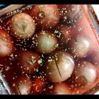 پیازترشی قرمز و سفید.بهداشتی و ارگانیک.ریز و دست چین.