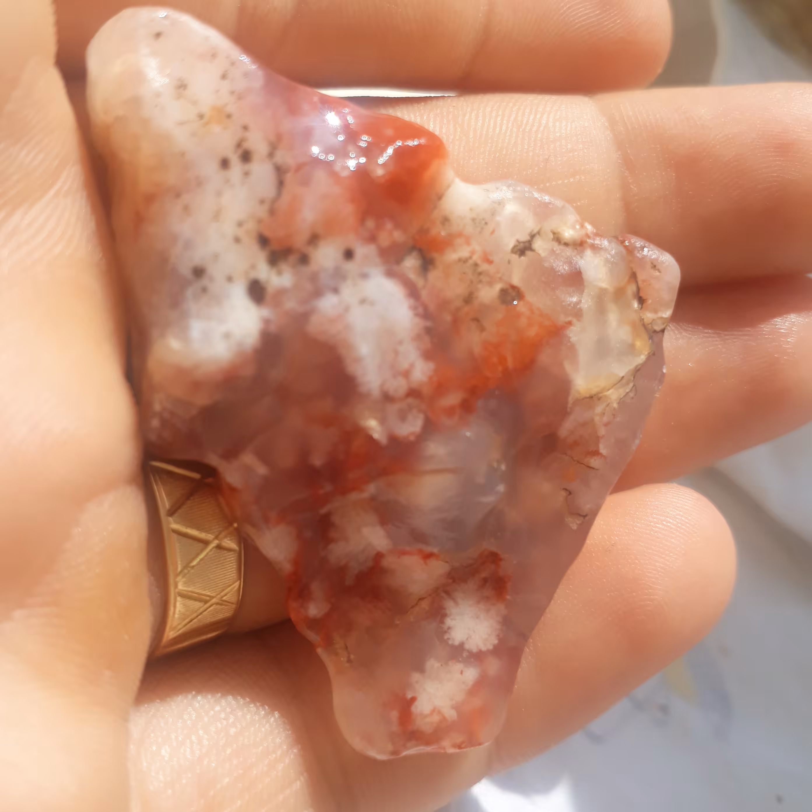 سنگ راف عقیق شجر دریایی