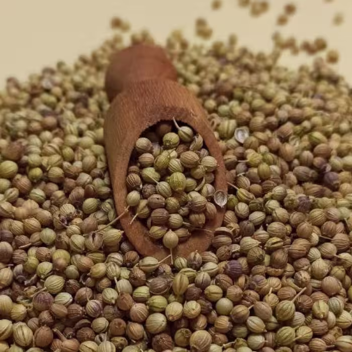 تخم گشنیز  100 گرمی (دانه تمیز پاک شده)