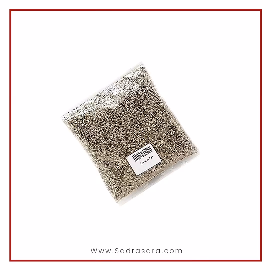 انیسون اعلاء صدرا