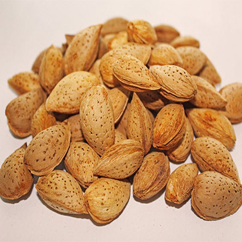 بادام درختی بسیار تازه و امسالی ملایر نوبرانه 5 کیلوگرم پرمغز و بدون تلخه