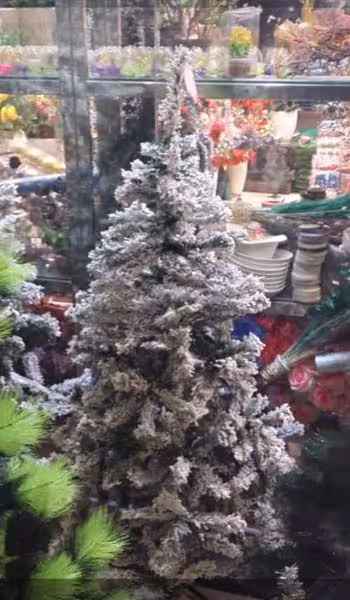 درخت کریسمس علفی 150 سانتی تمام برفی