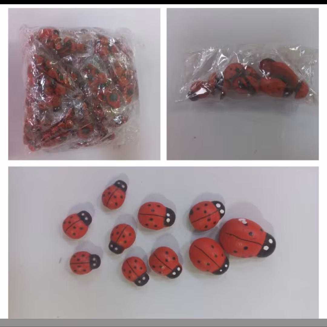 مگنت کفشدوزک 10تایی آهنربایی درب یخچال