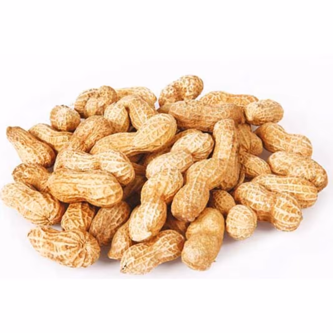 بادام زمینی غلاف دار 250 گرمی