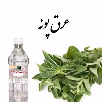 عرق پونه یک لیتری معده روده - سردرد