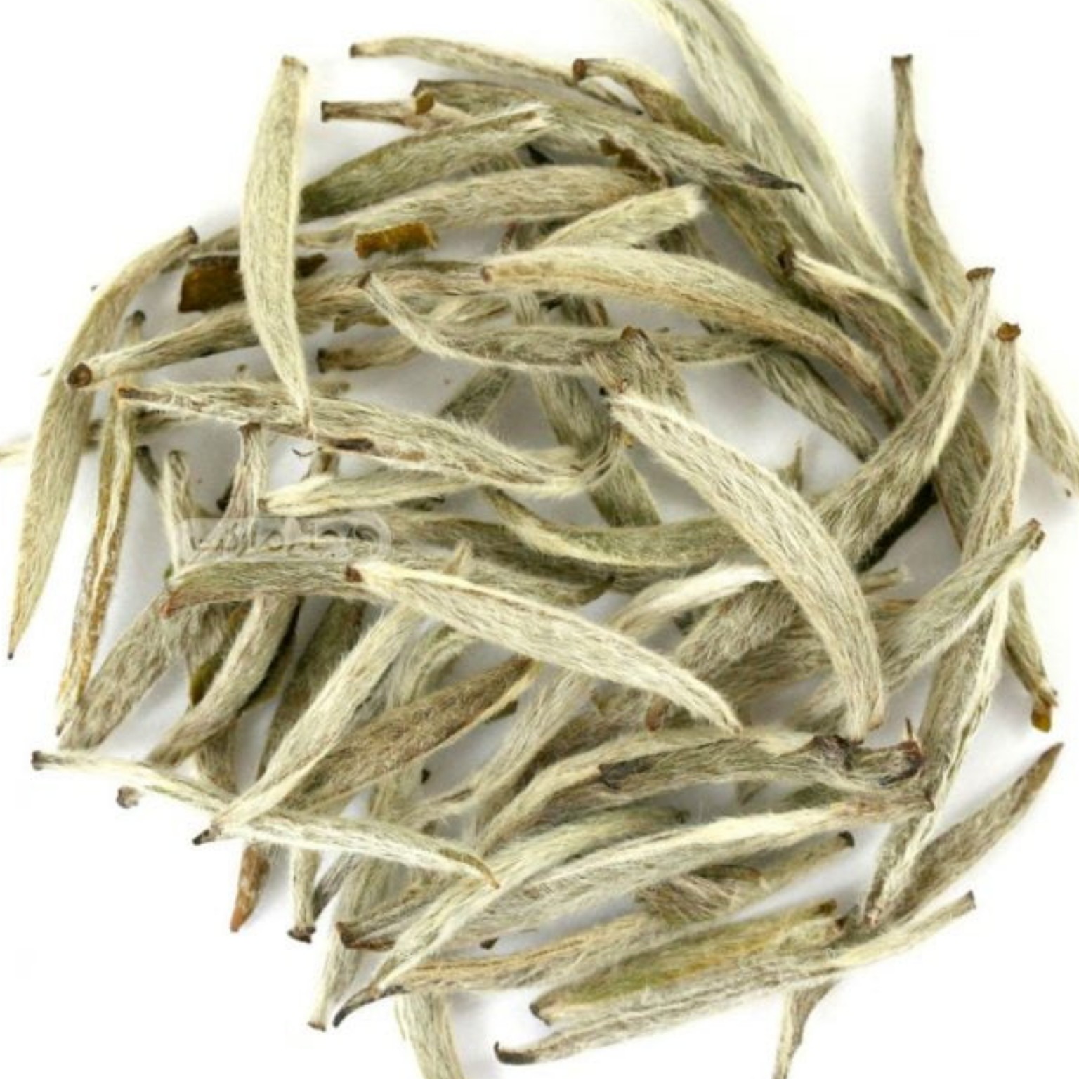 چای سفید سوزنی 20 گرم