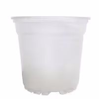 گلدان ژله ای مخصوص ارکیده سایز 14 بسته 5 عددی