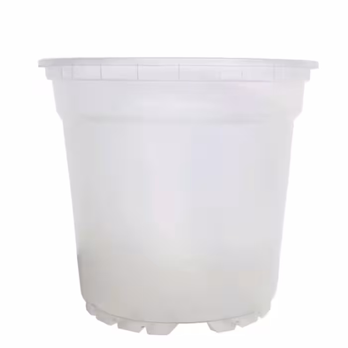 گلدان ژله ای مخصوص ارکیده سایز 14 بسته 5 عددی