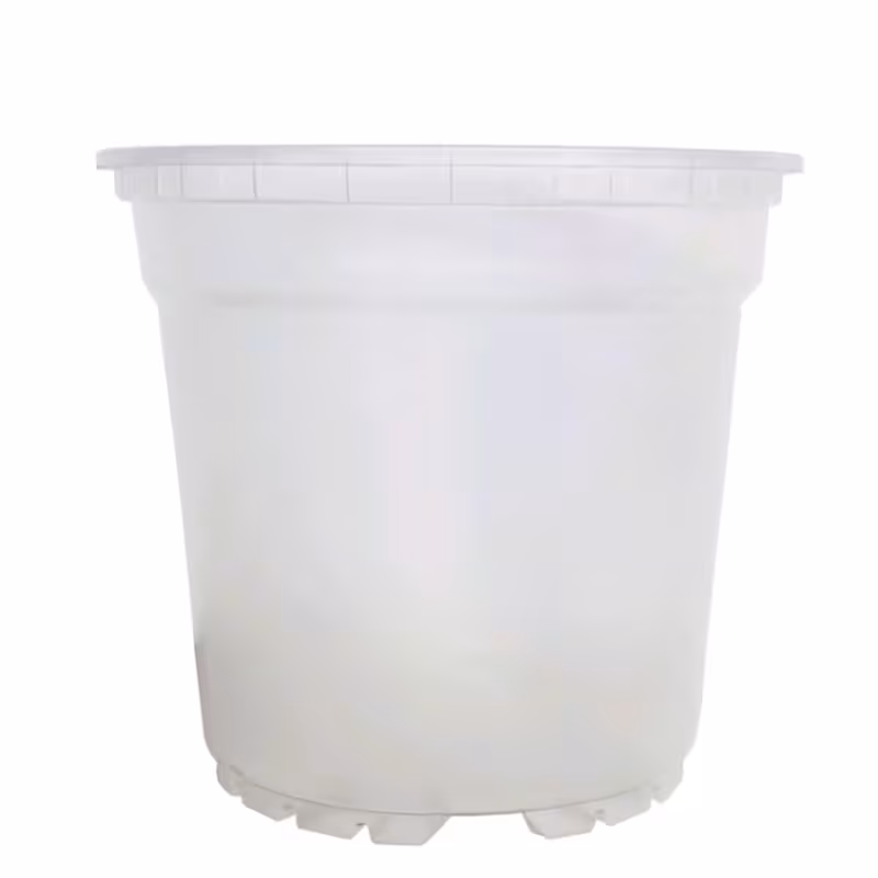 گلدان ژله ای مخصوص ارکیده سایز 14 بسته 5 عددی