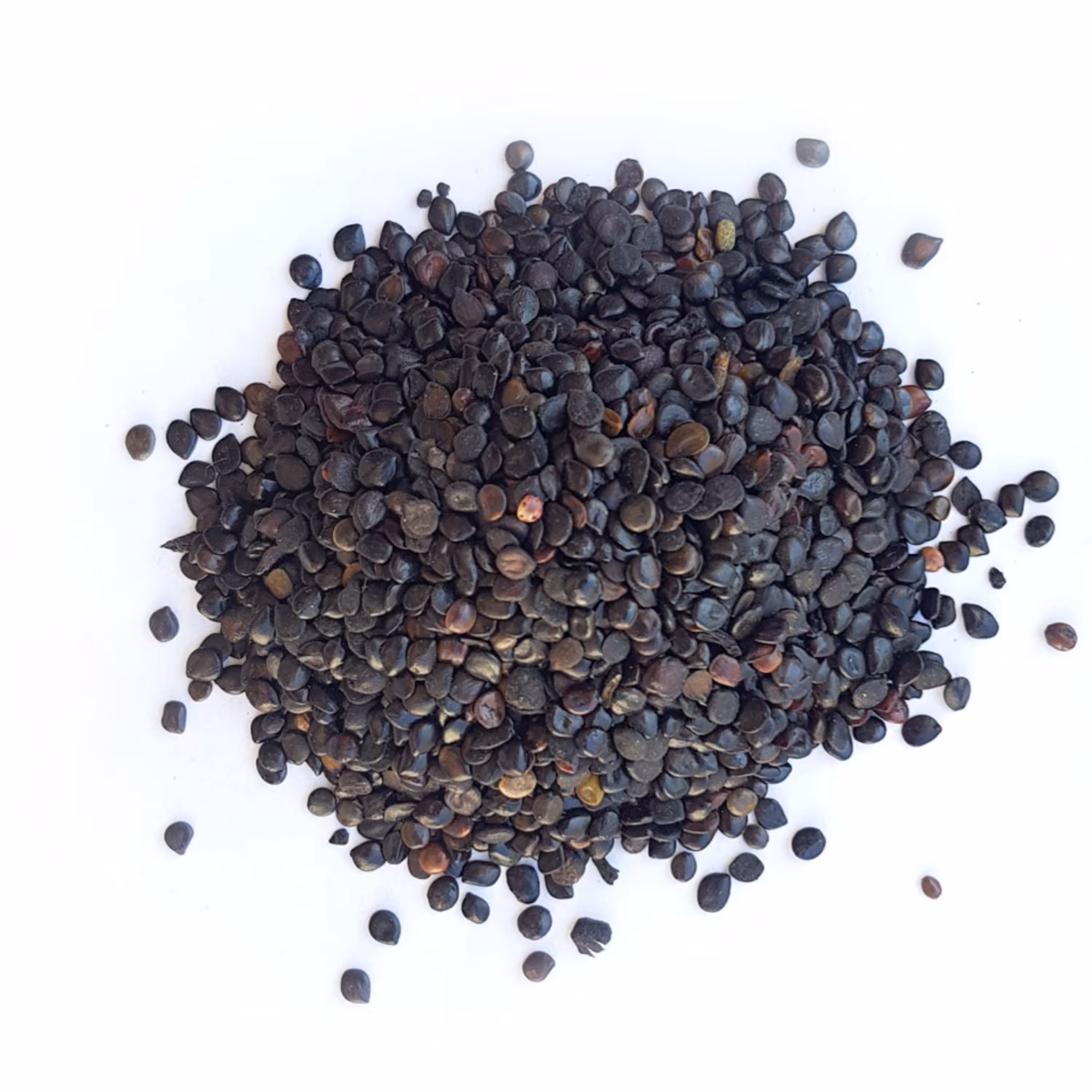 چشوم نیم سیر