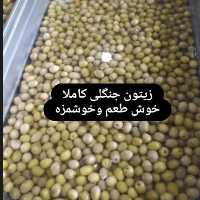 زیتون ممتاز سایز متوسط(پس کرایه)