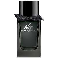 عطر ادکلن باربری مستر باربری ادوپرفیوم Burberry Mr. Burberry EDP