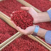 زرشک پفکی لوکس ارگانیک روغن نخورده کارتن 7 کیلویی قیمت عمده