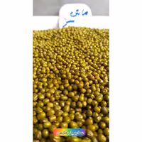 ماش سبز  (500 گرمی) 