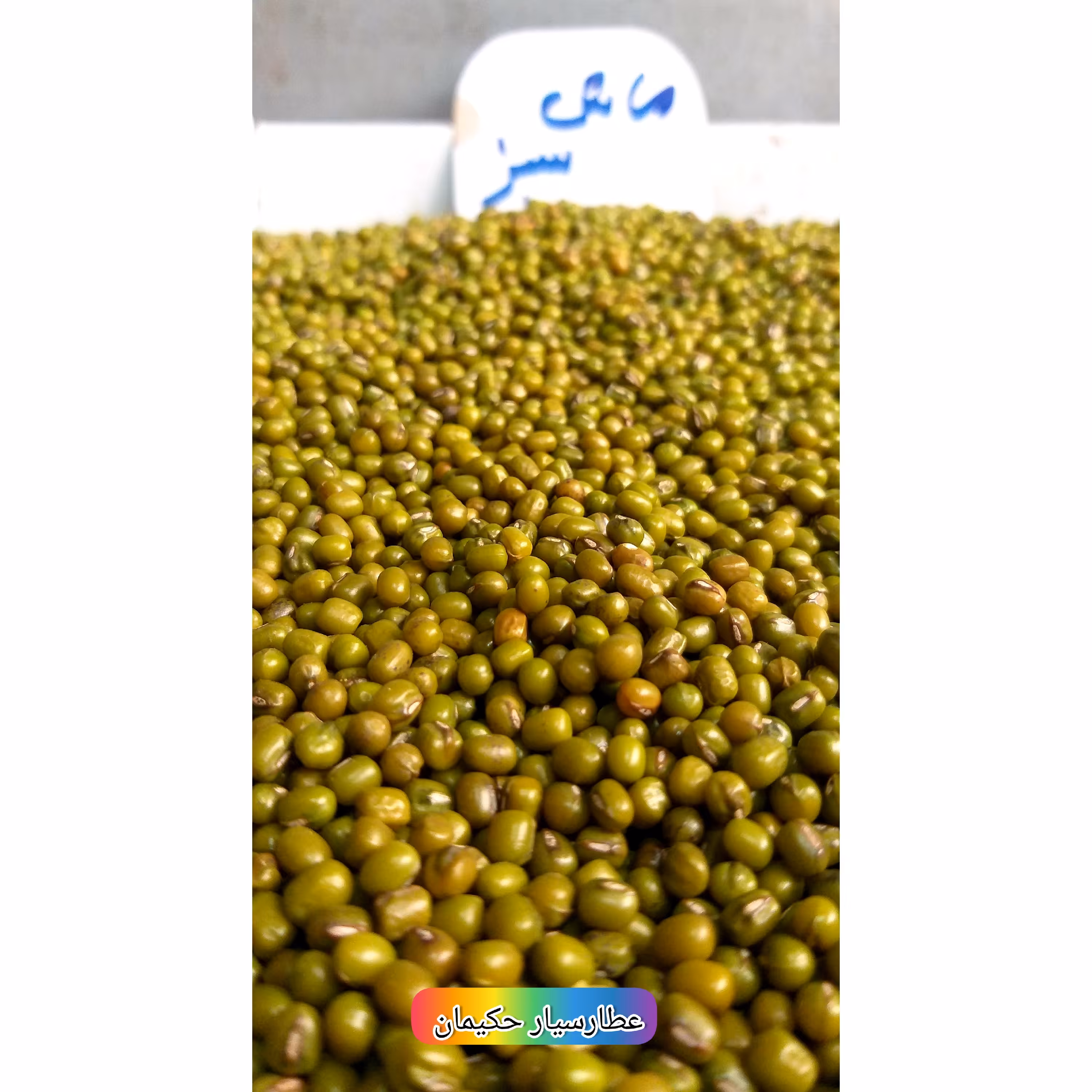 ماش سبز  (500 گرمی) 