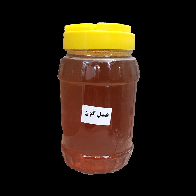 عسل گون جنوب ( 1 کیلویی)