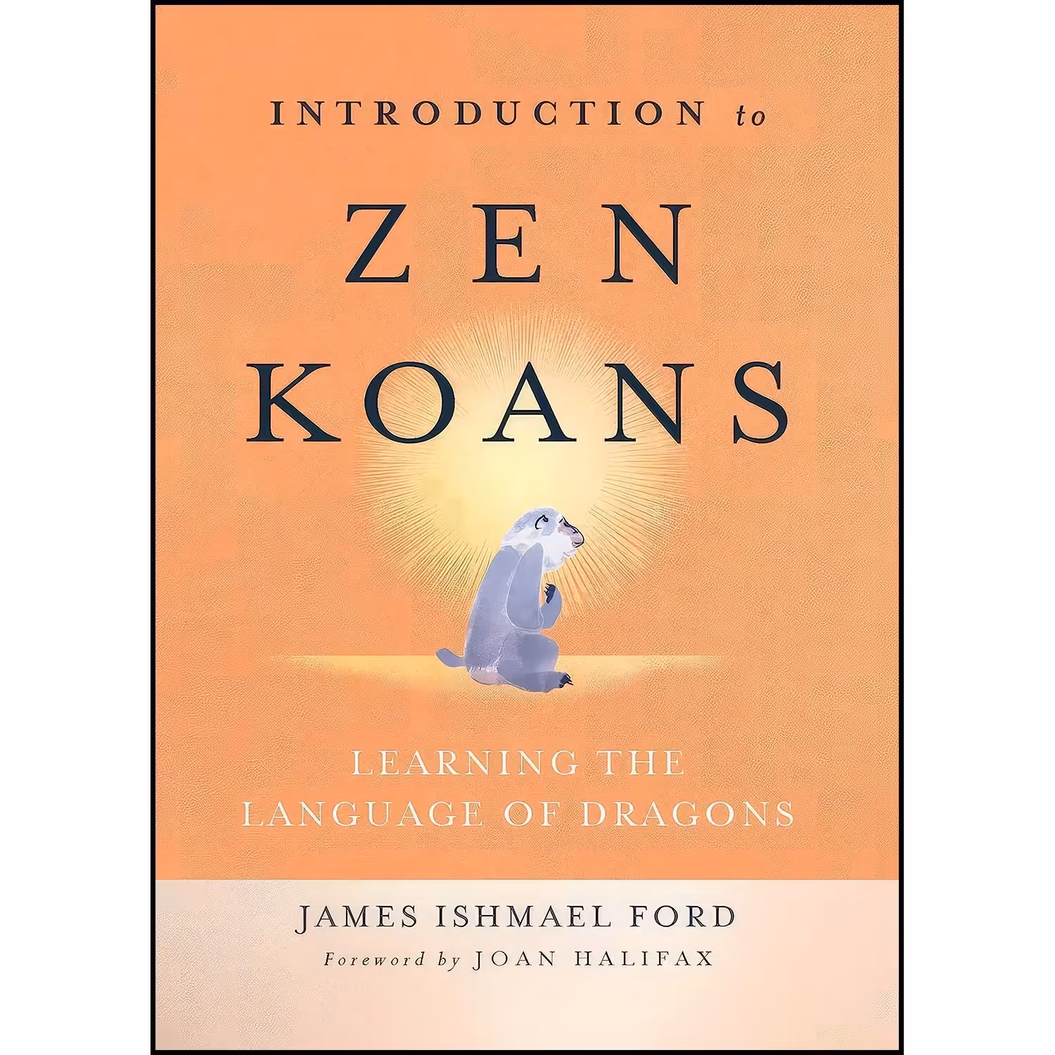 کتاب زبان اصلی Introduction to Zen Koans
