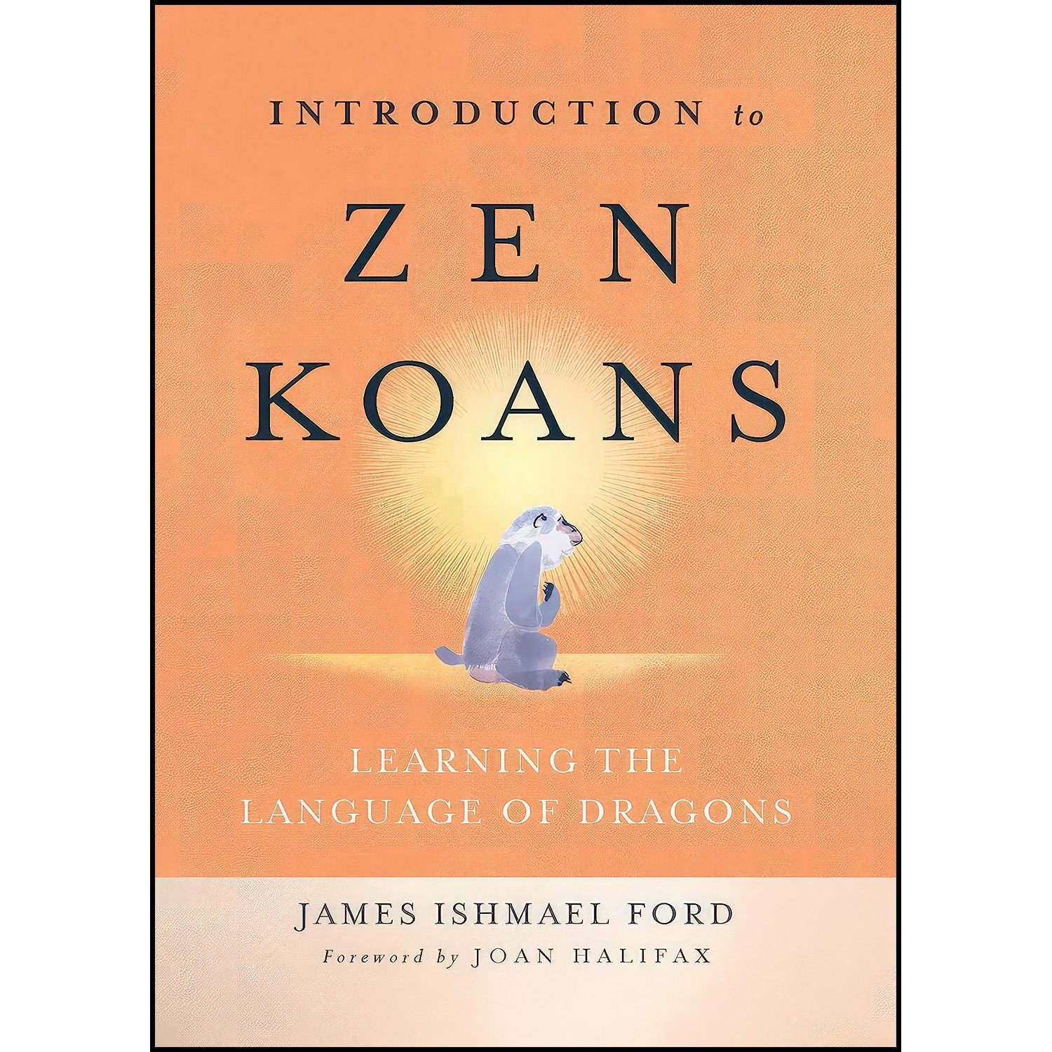 کتاب زبان اصلی Introduction to Zen Koans