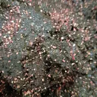 دلال ماهی (10000گرمی)