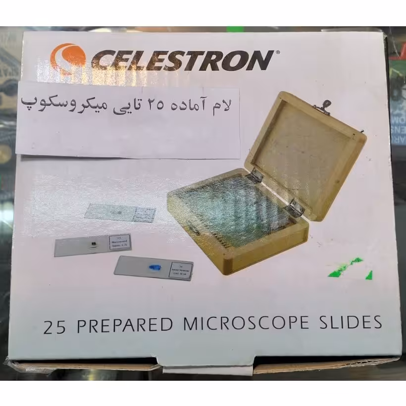 لام آماده 25 تایی میکروسکوپ