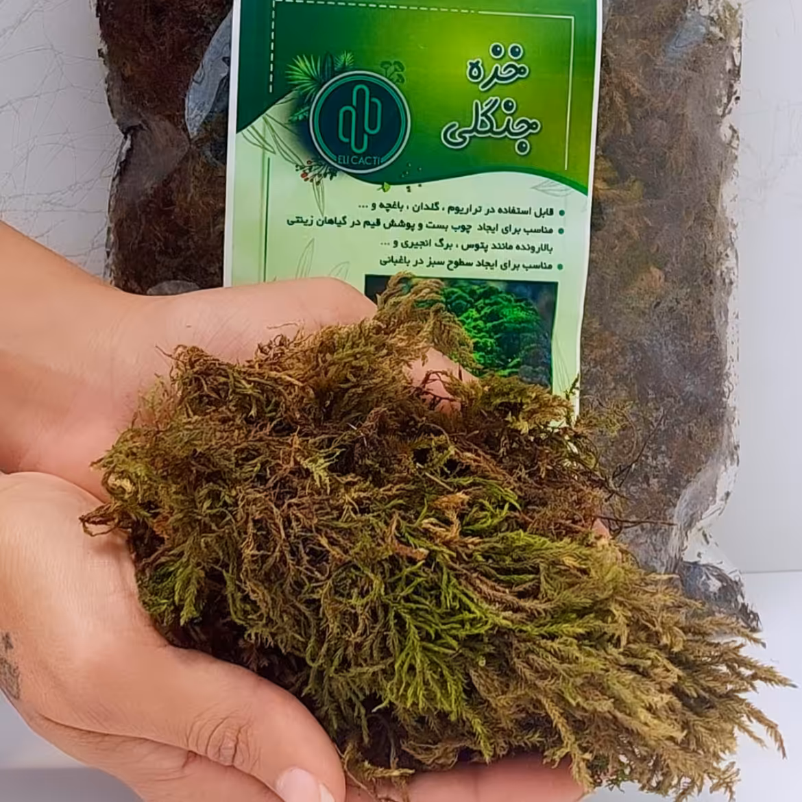 خزه جنگلی (6لیتری)