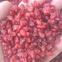 زرشک پفکی بسته بندی یک کیلویی