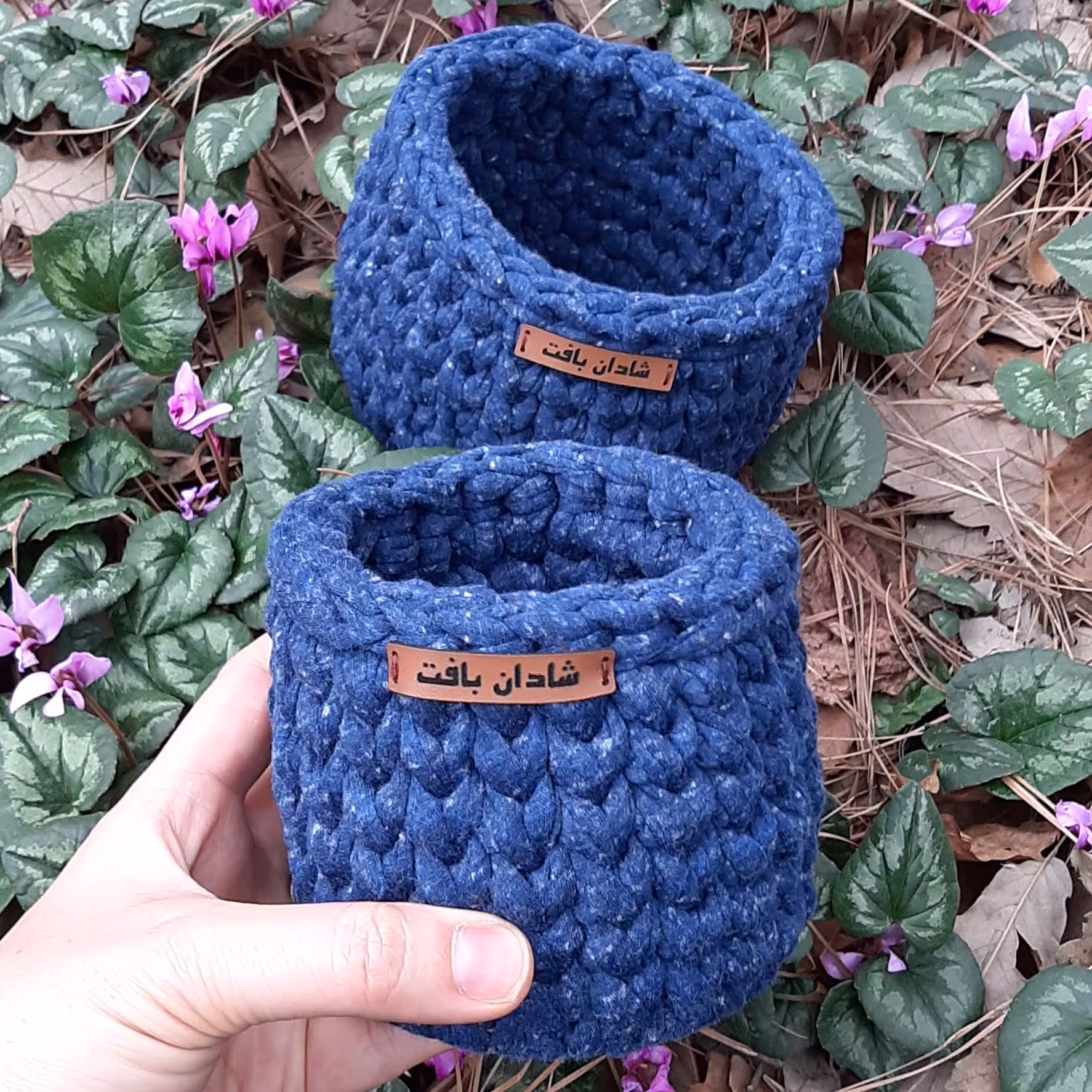 باکس گرد نظم دهنده