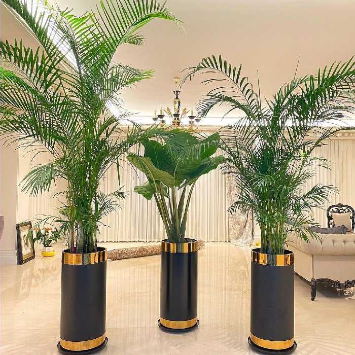 گلدان  چرخدار لاکچری 