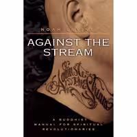 کتاب زبان اصلی Against the Stream اثر Noah Levine انتشارات تازه ها