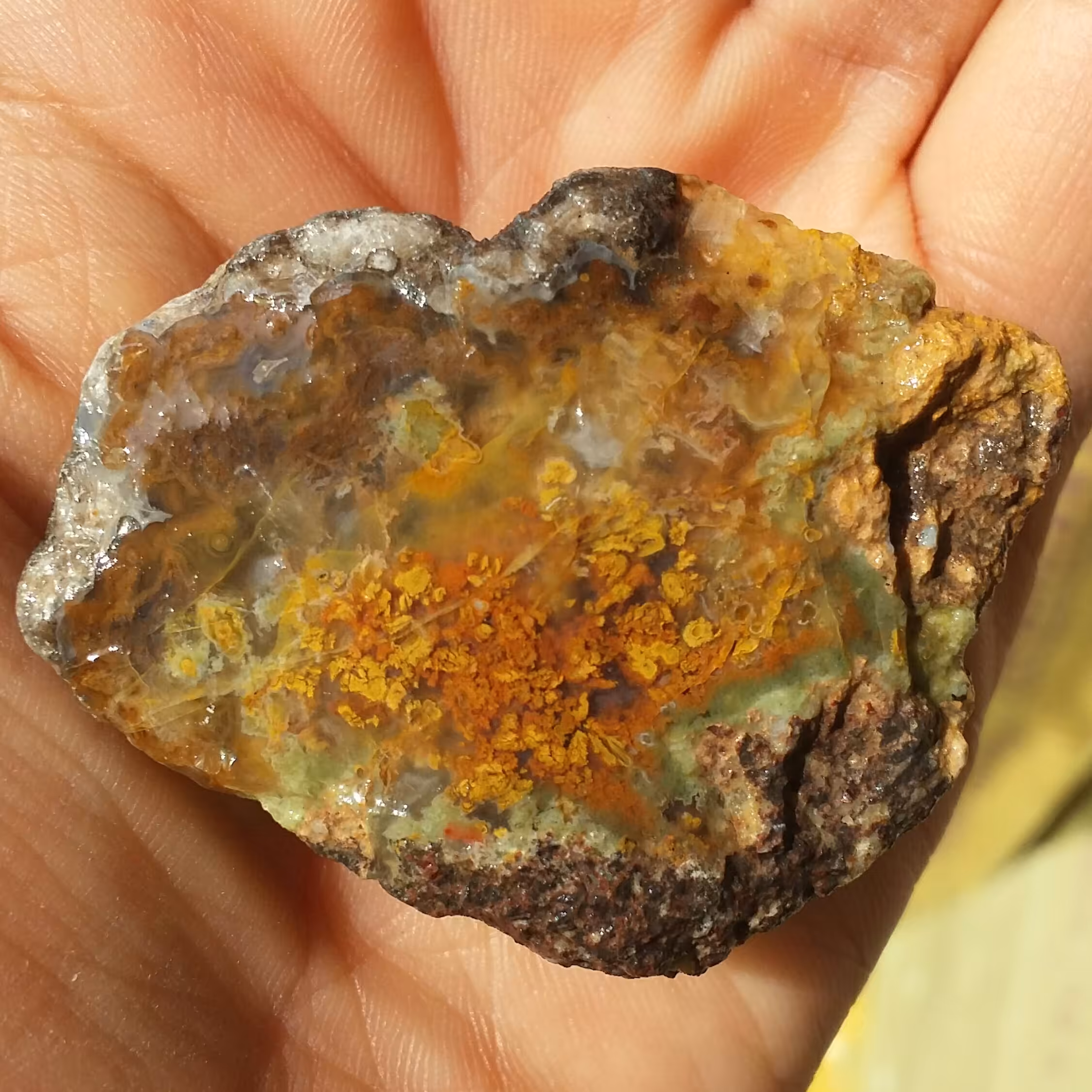 سنگ راف شجر پاییزی زیبا ا ا ا 100درصد طبیعی