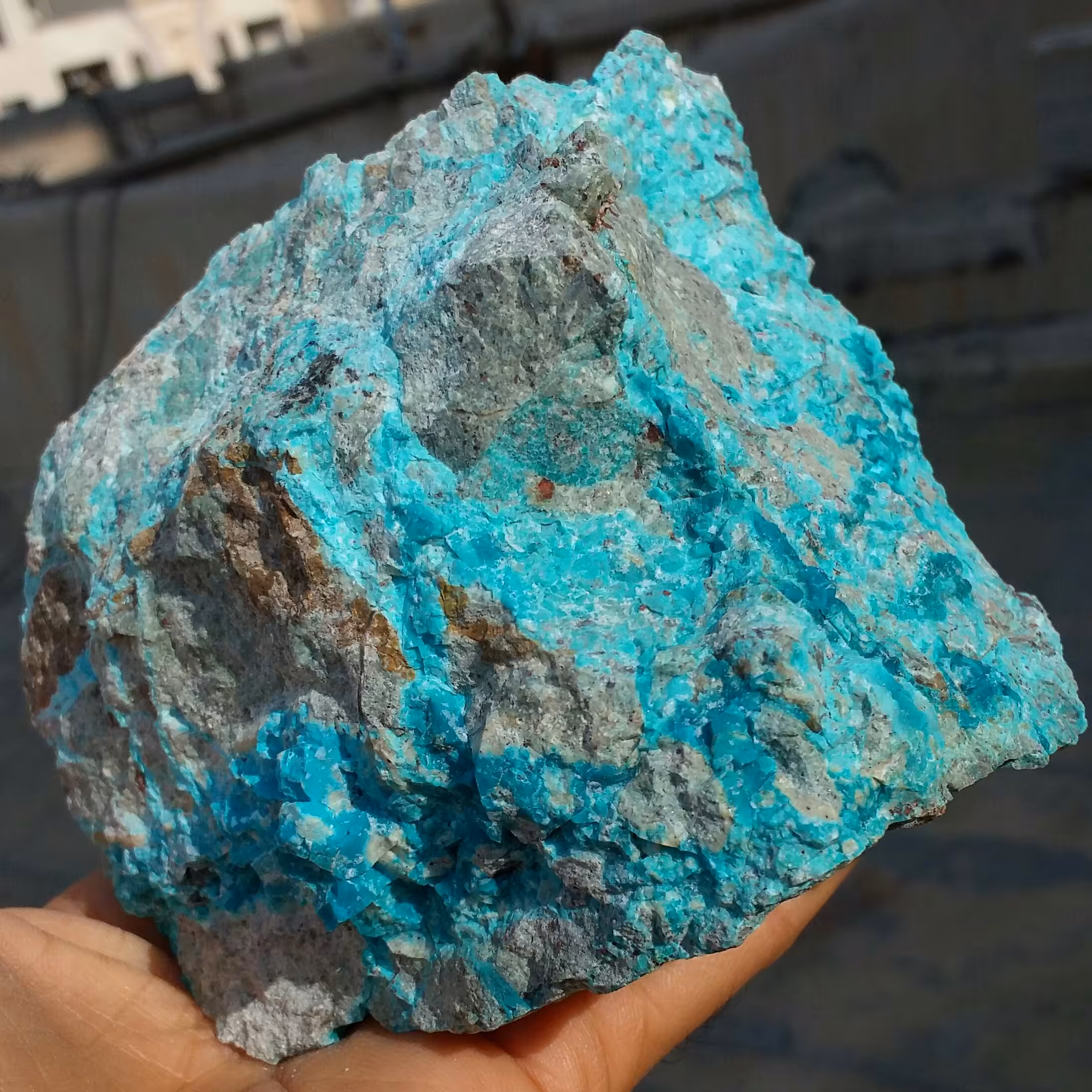 نمونه فوق کلکسیونی غوولپیکر  سنگ راف کریزوکولا  کله غازی یا سبز آبی خاص محشر بسیااااار زیبا کاملا طبیعی
کد 8442