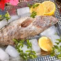 ماهی هامور تازه صید روز لیان بوشهر