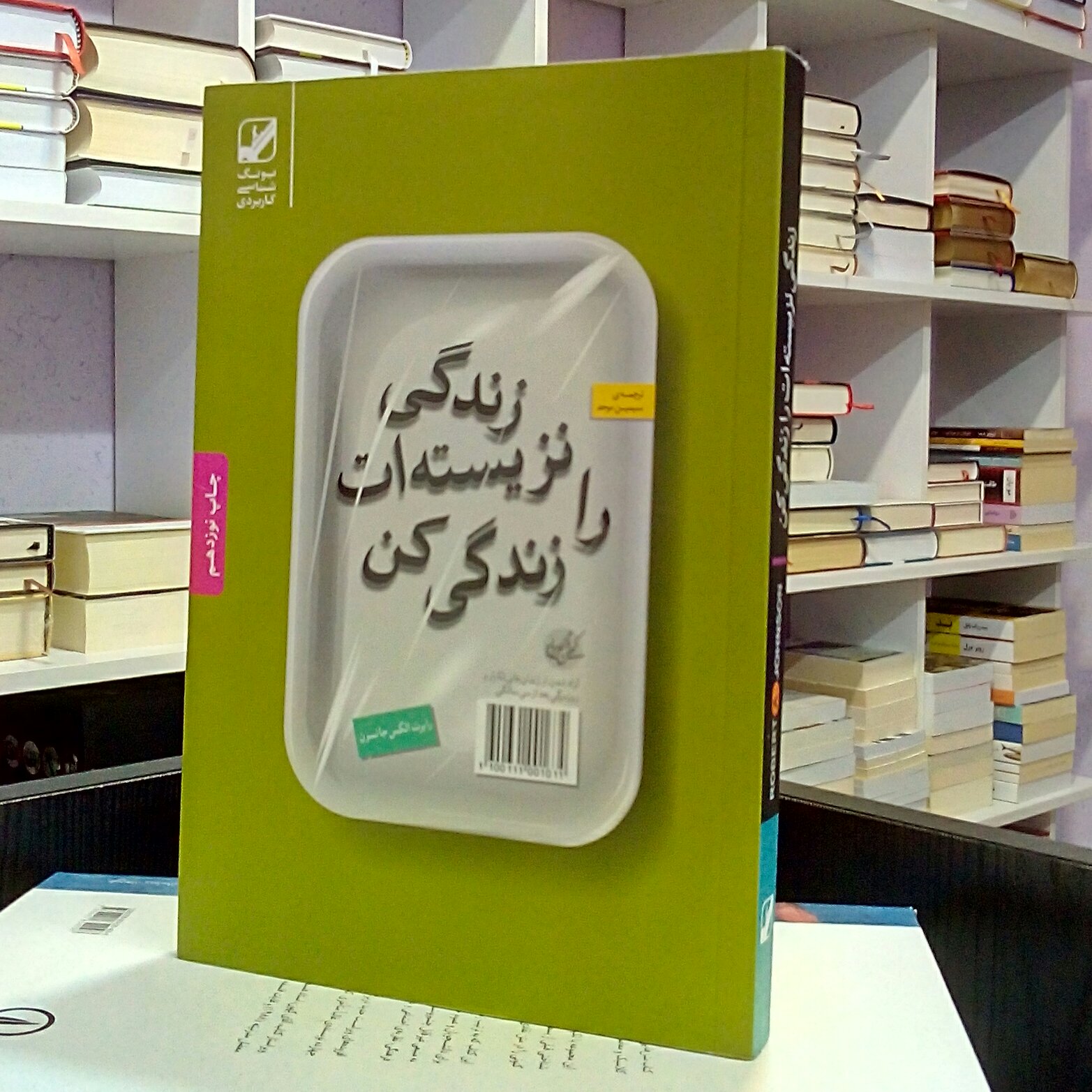 زندگی نزیسته ات را زندگی کن ، روانشناسی ، رابرت الکس جانسون ، سیمین موحد